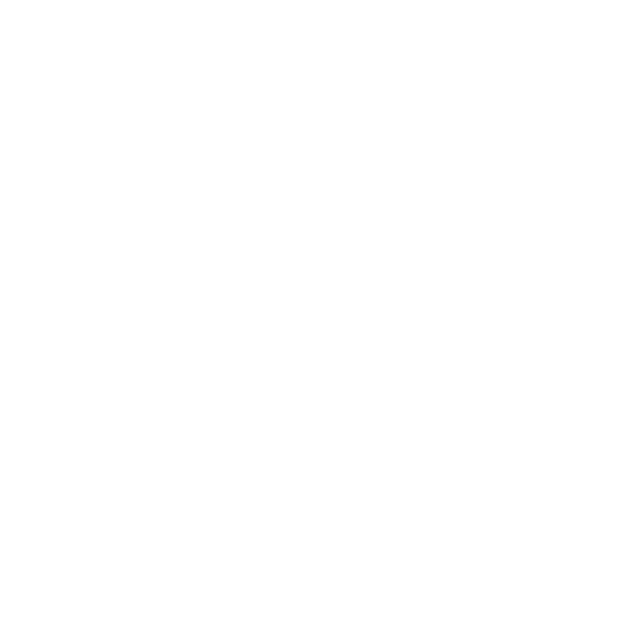 VPN
